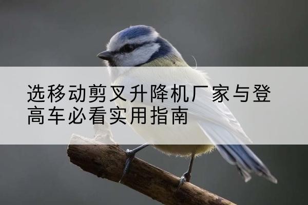 婺源电动升降机厂家-选移动剪叉升降机厂家与登高车必看实用指南