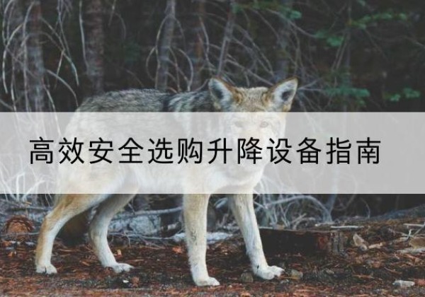 婺源升降货梯厂家推荐-*安全选购升降设备指南